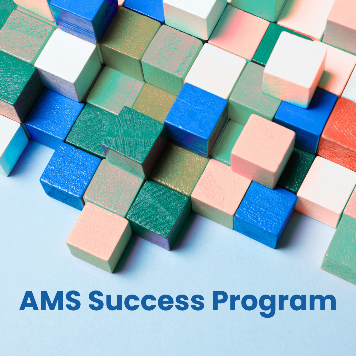 amssuccesslpgraphic (1500 x 1500 px)